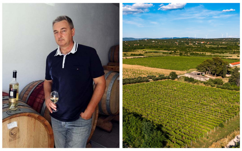 Simbol obnove – Vinarija Figurica prepoznatljiva po autentičnosti, posvećenosti i očuvanju tradicije