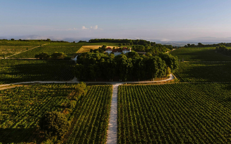 Zadar vs. svijet – Može li grenache noir biti perjanica zadarske regije?