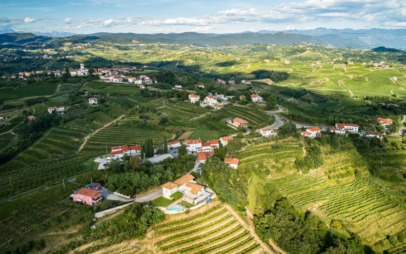 Teodor Rosso omiljeno je vino u regiji, a jasno je i zašto