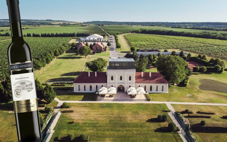 Traminac Iločkih podruma – Svaki gutljaj ima priču, povijest i emociju jedinstvenog terroira