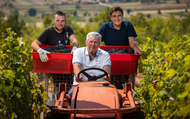 Vinarija Grabovac i vino s duhom imotskog kraja