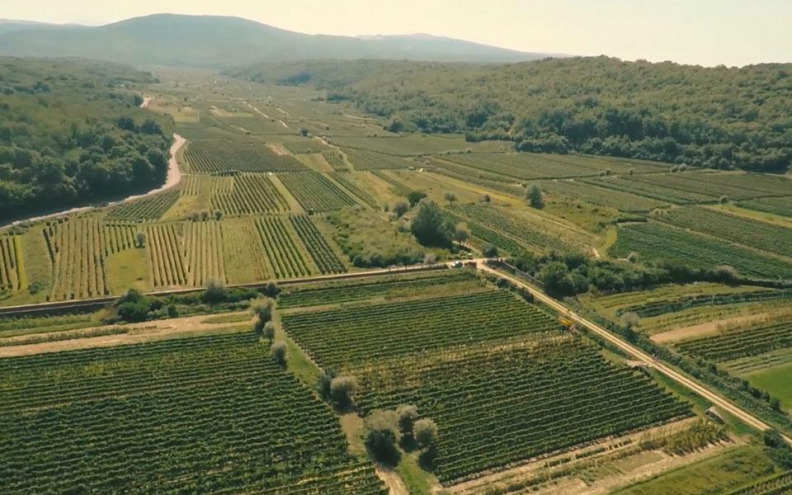Proljeće kao najslobodnije godišnje doba u izboru vina